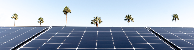 Solar Panels With Palm Trees in the Background