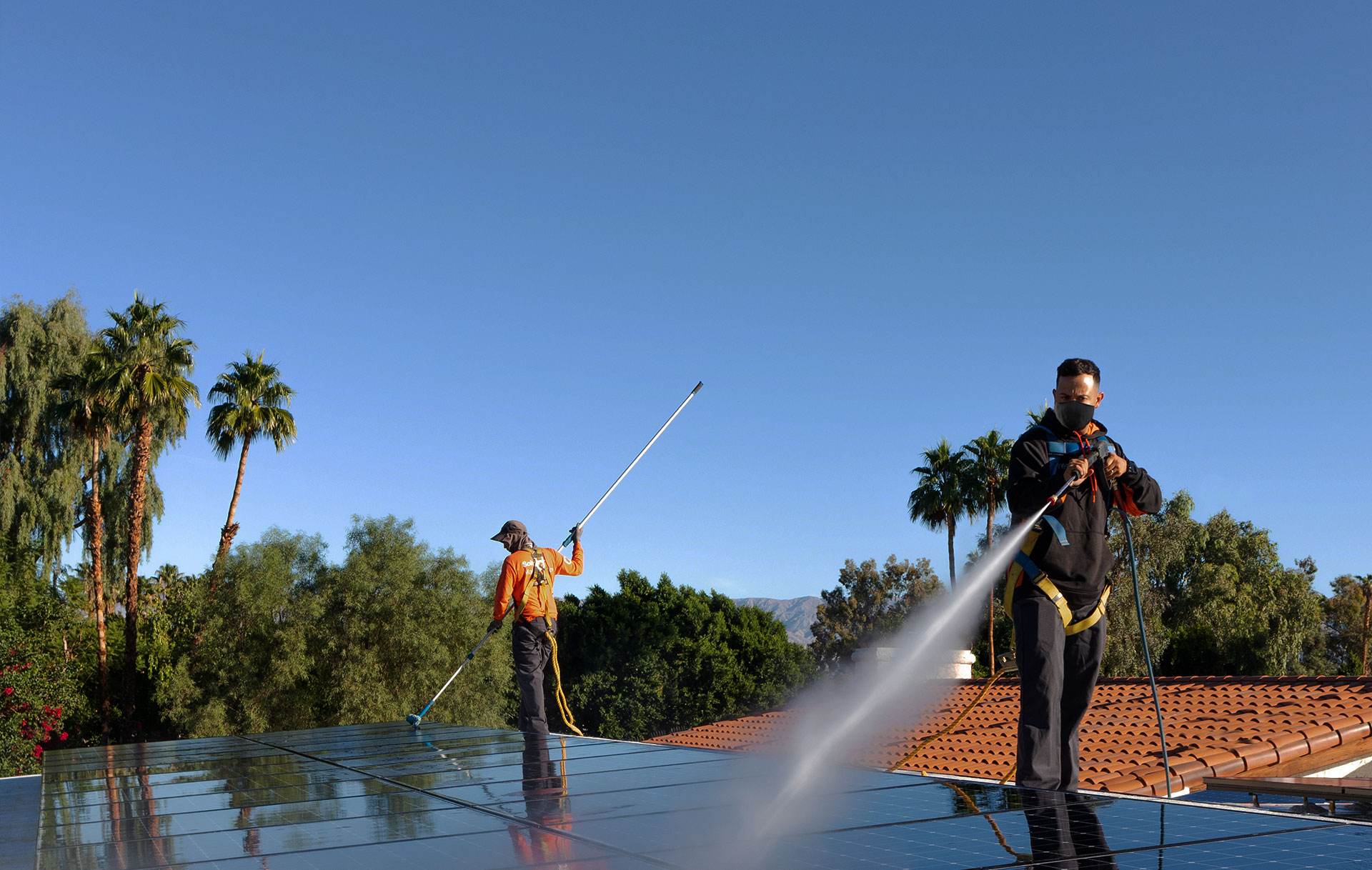 Two workers clean solar panels on a roof surrounded by palm trees. One person uses a long-handled brush, while the other sprays water. Both are wearing safety harnesses and black clothing. A clear blue sky forms the backdrop, with mountains visible in the distance.