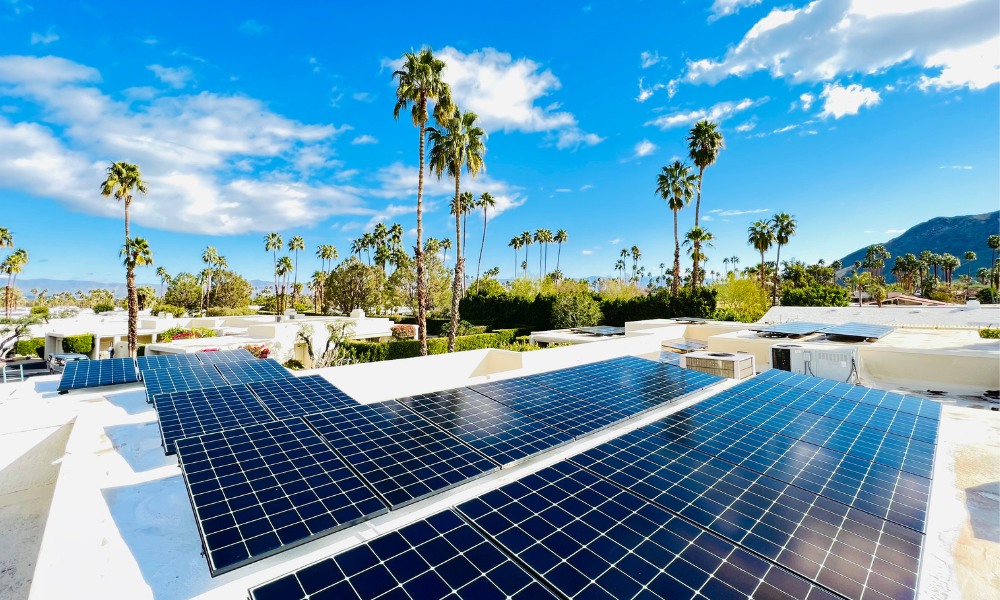 Rooftop solar panels gleam under a bright blue sky with scattered clouds. Tall palm trees surround the area, and distant mountains are visible. The scene is sunlit, suggesting a warm, tropical setting.