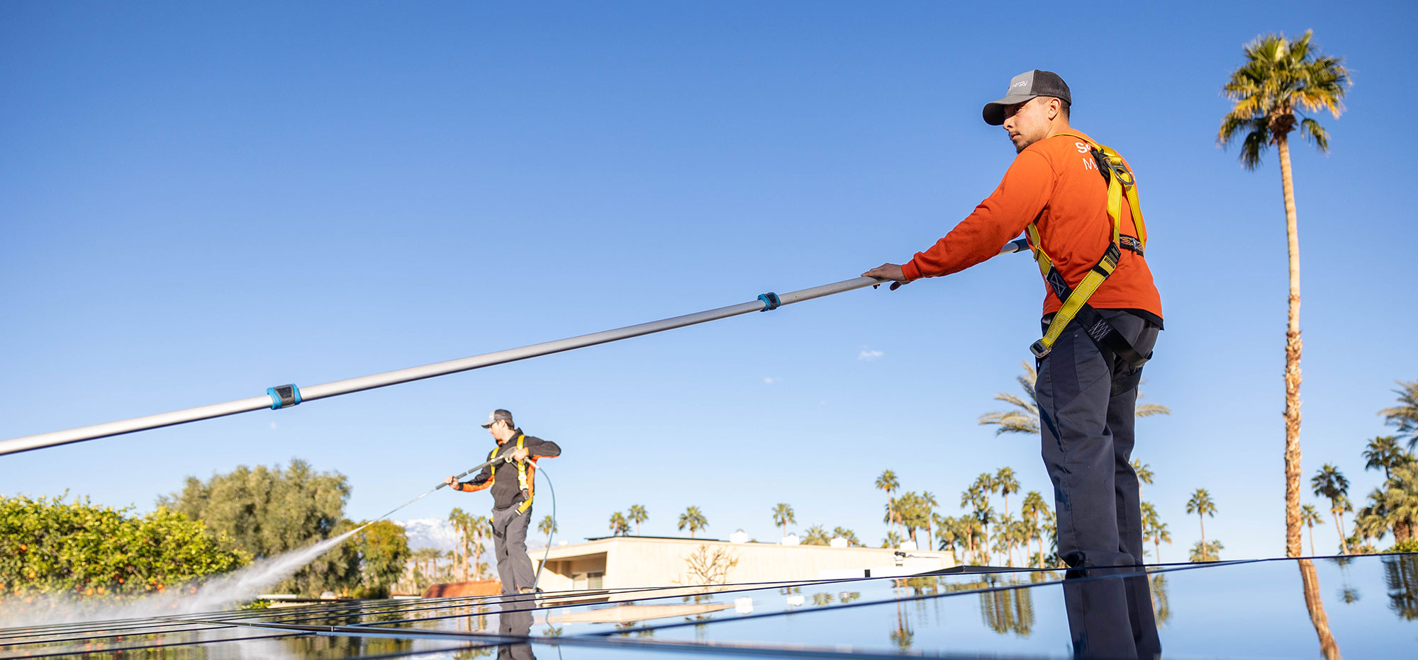 Two workers wearing safety gear and caps are cleaning large solar panels outdoors. They use long poles with brushes, surrounded by trees and a clear blue sky. The sunny environment highlights the modern approach to solar panel maintenance. Palm trees are visible in the background.