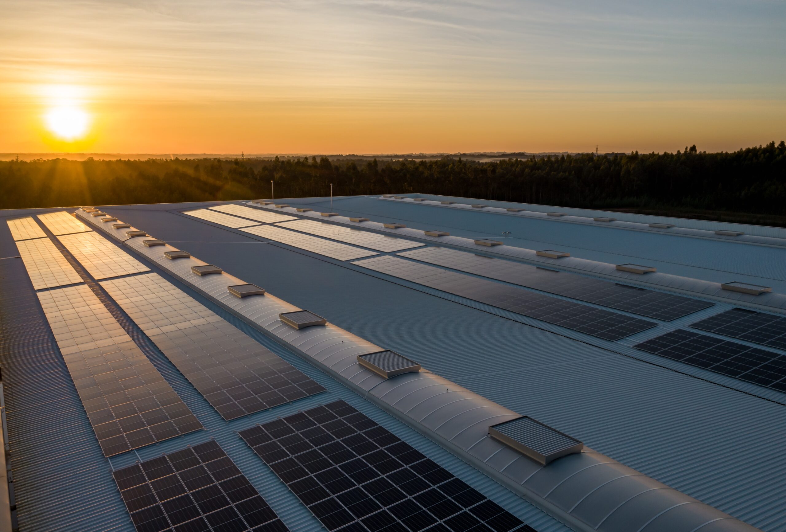 A large rooftop covered with rows of solar panels is illuminated by a warm sunset. The panels are neatly arranged, reflecting the golden light. In the background, a forested area is visible under a clear sky, adding a natural contrast to the modern technology.