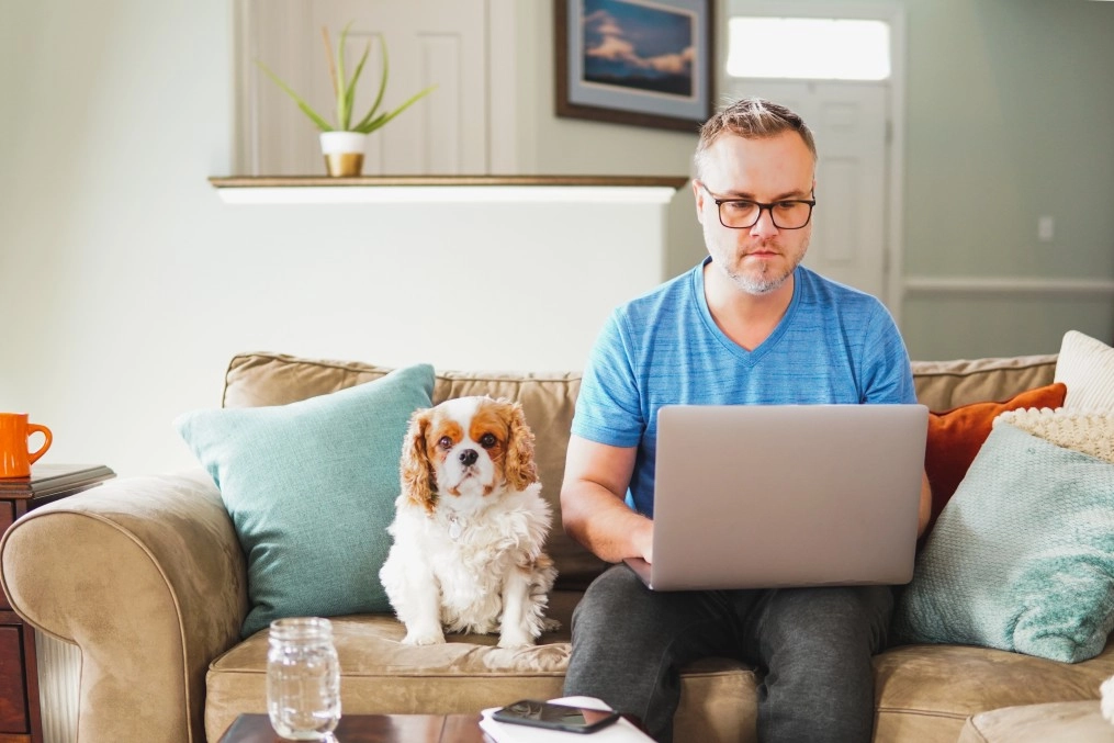 A man in glasses and a blue shirt sits on a beige couch working on a laptop, researching La Quinta Solar Maintenance, with a small dog beside him. Colorful pillows, a glass jar, and a smartphone are also on the cozy, well-lit couch.